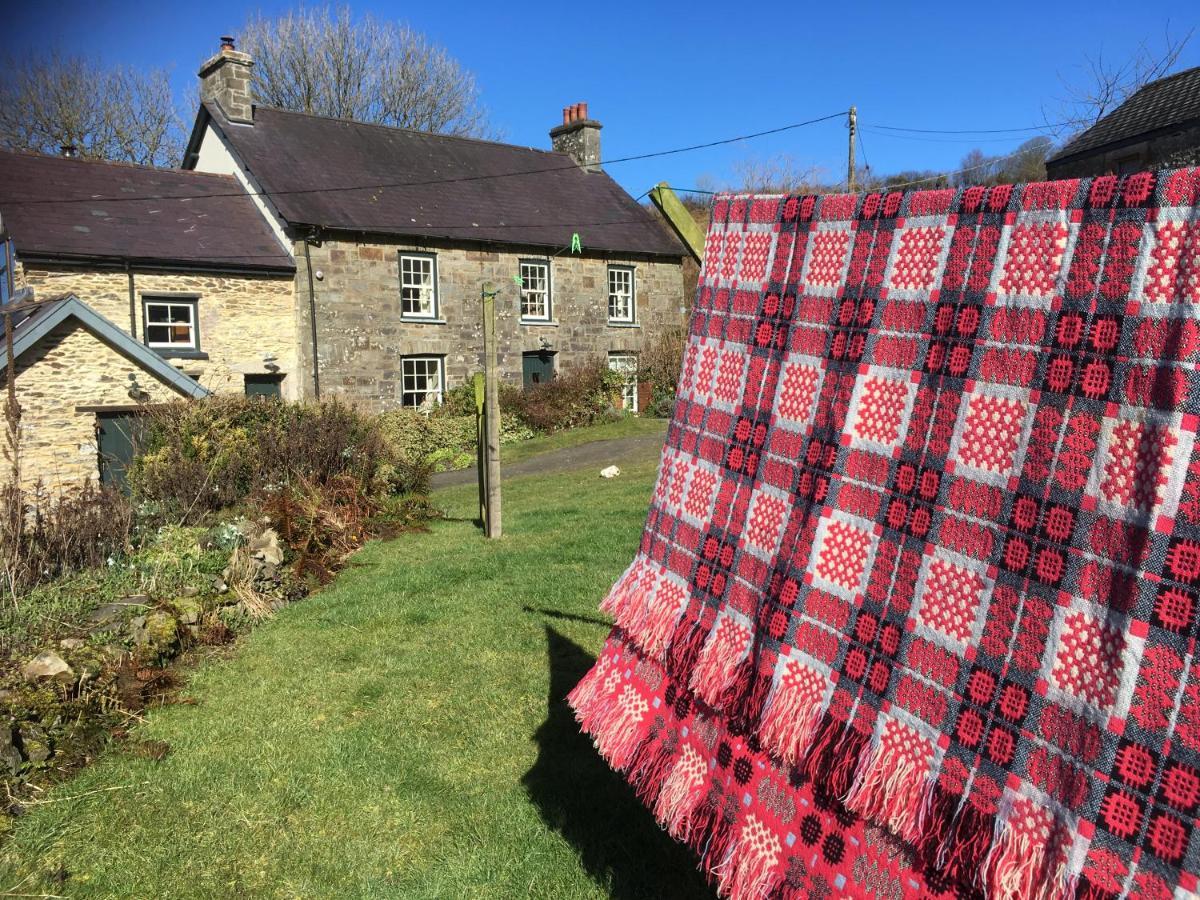 Nantgwynfaen Organic Farm Wales Villa Llandysul Bagian luar foto