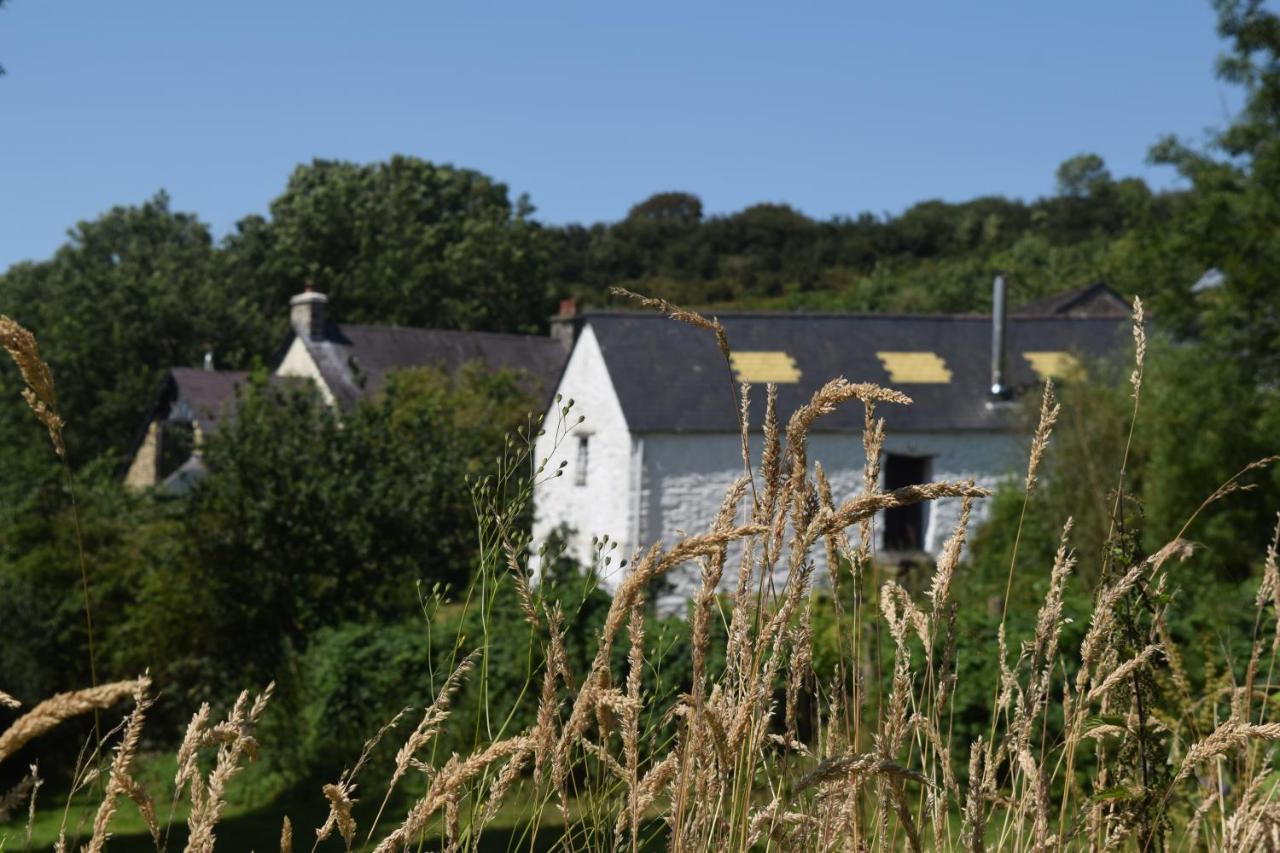Nantgwynfaen Organic Farm Wales Villa Llandysul Bagian luar foto