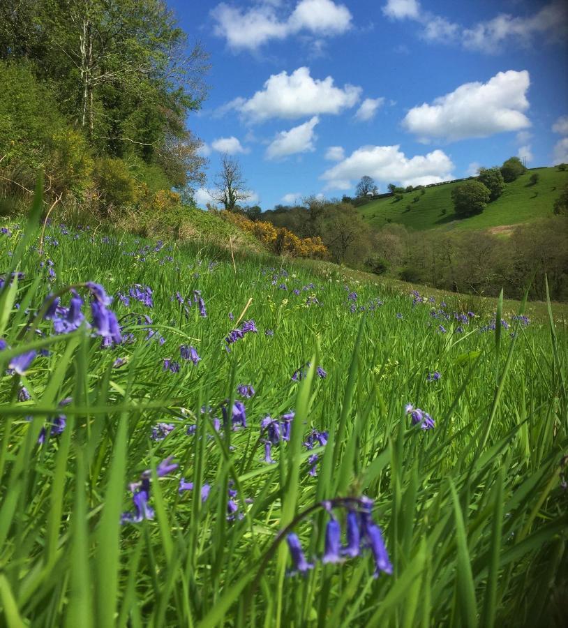 Nantgwynfaen Organic Farm Wales Villa Llandysul Bagian luar foto