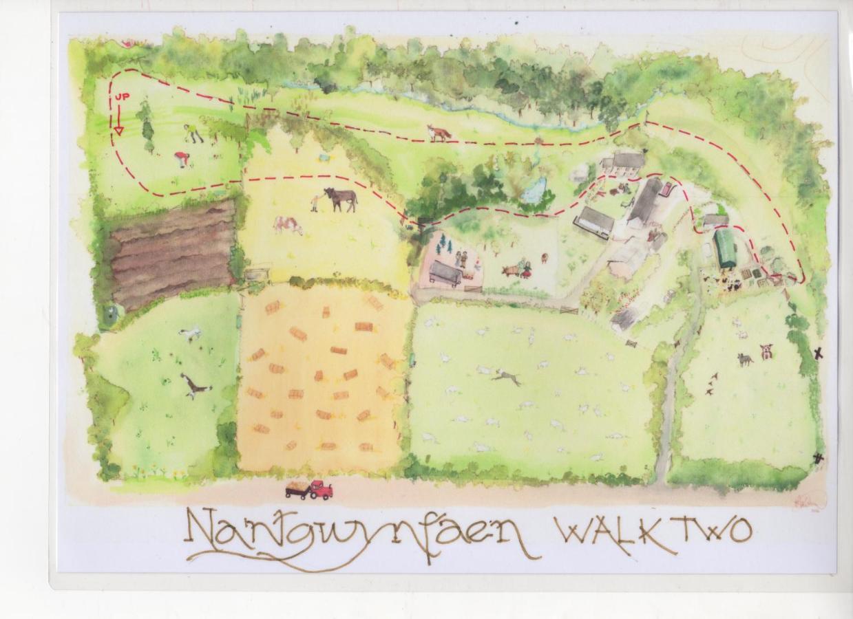Nantgwynfaen Organic Farm Wales Villa Llandysul Bagian luar foto