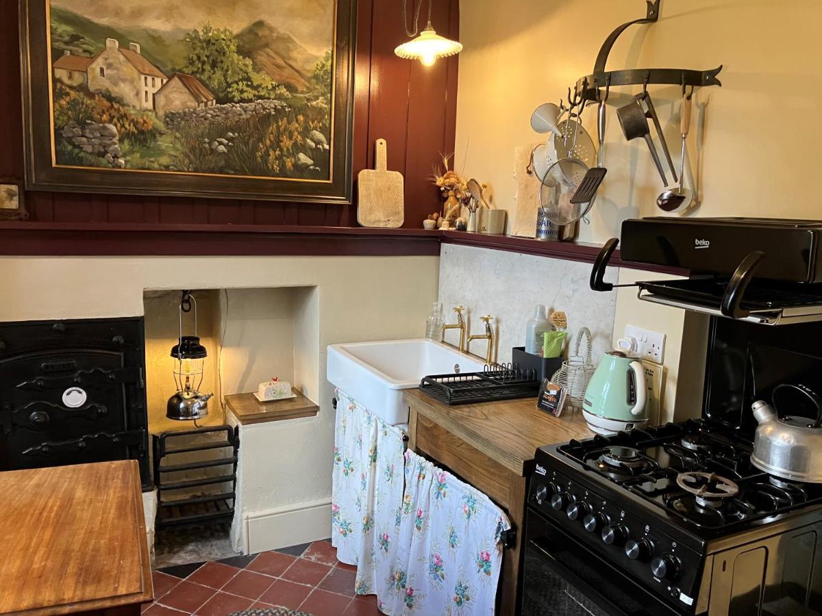 Nantgwynfaen Organic Farm Wales Villa Llandysul Bagian luar foto