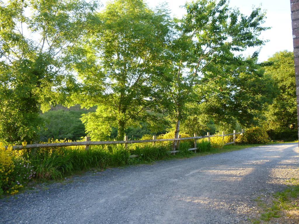 Nantgwynfaen Organic Farm Wales Villa Llandysul Bagian luar foto