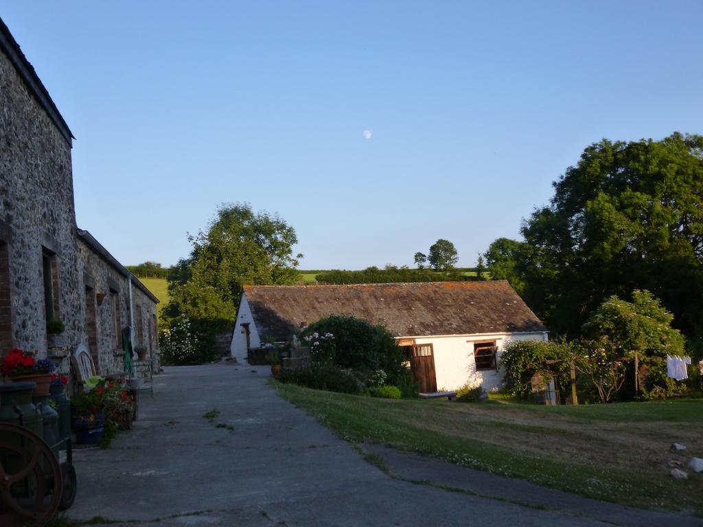 Nantgwynfaen Organic Farm Wales Villa Llandysul Bagian luar foto