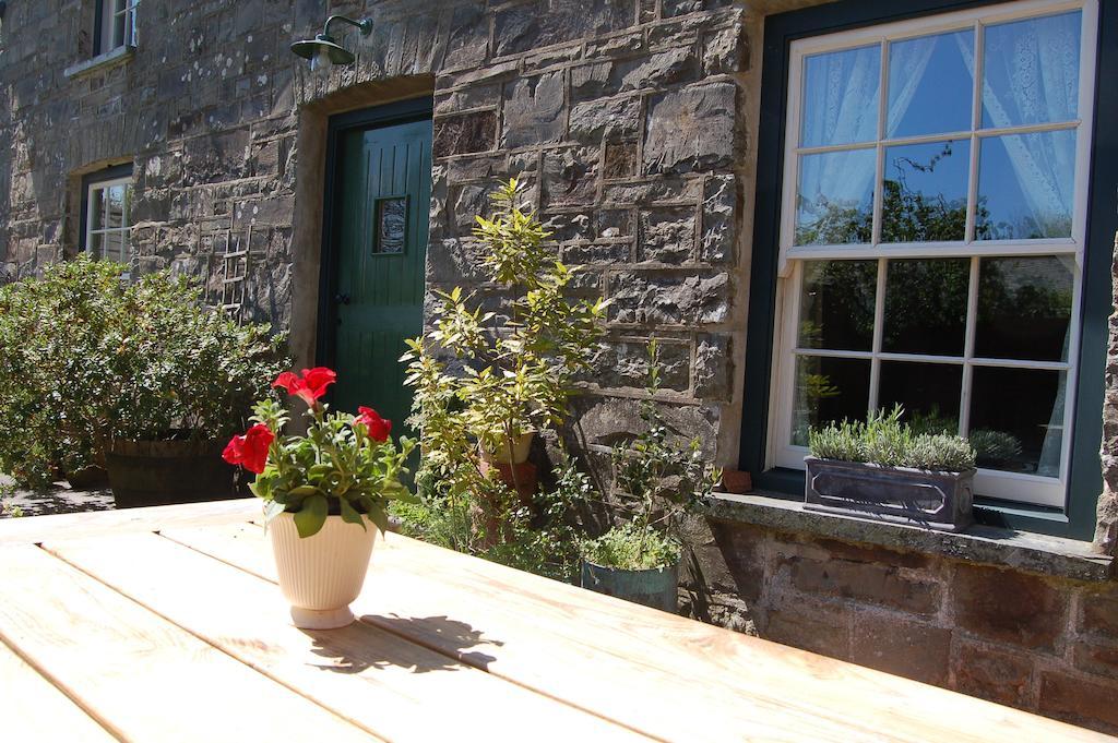 Nantgwynfaen Organic Farm Wales Villa Llandysul Bagian luar foto