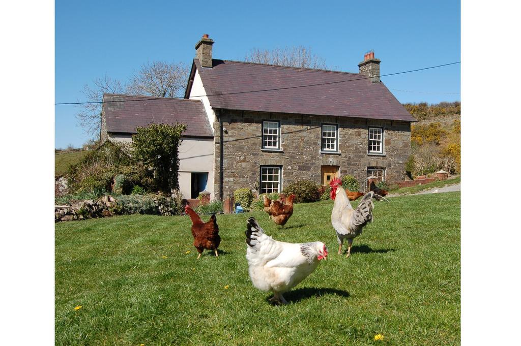 Nantgwynfaen Organic Farm Wales Villa Llandysul Bagian luar foto