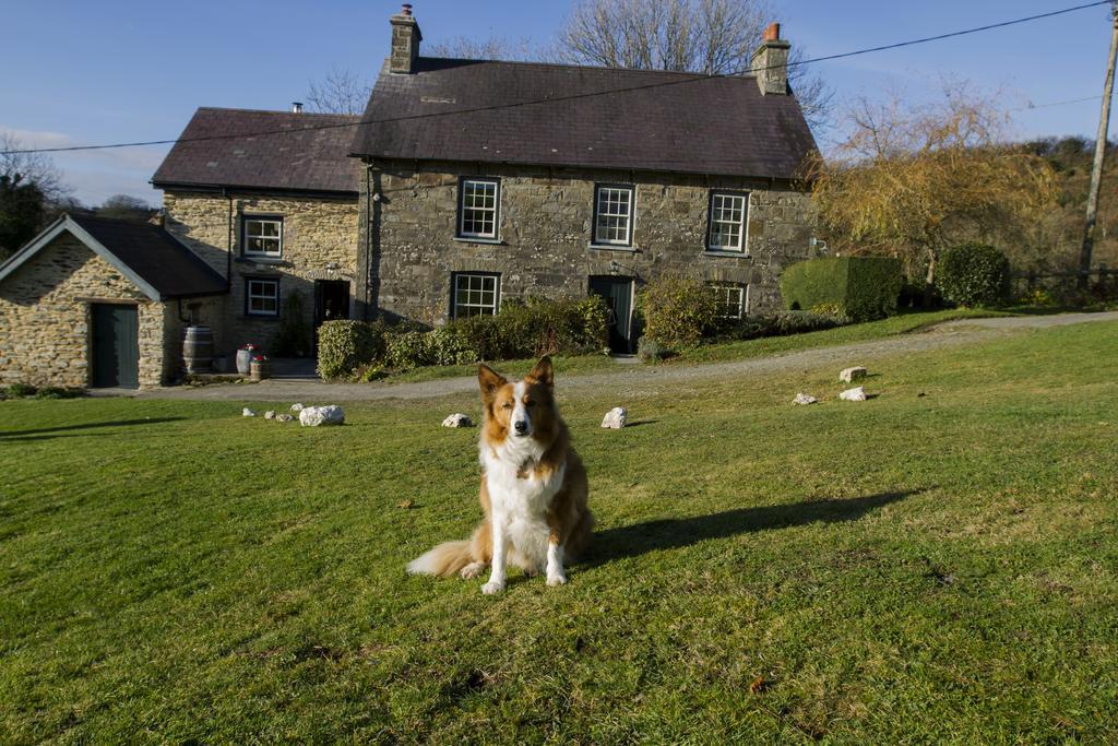 Nantgwynfaen Organic Farm Wales Villa Llandysul Bagian luar foto